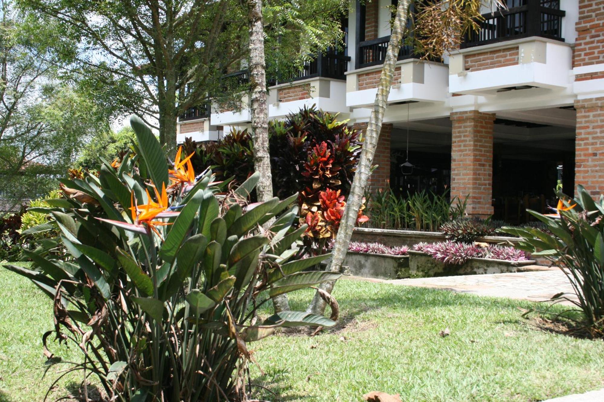 Finca Hotel La Esperanza Montenegro Extérieur photo