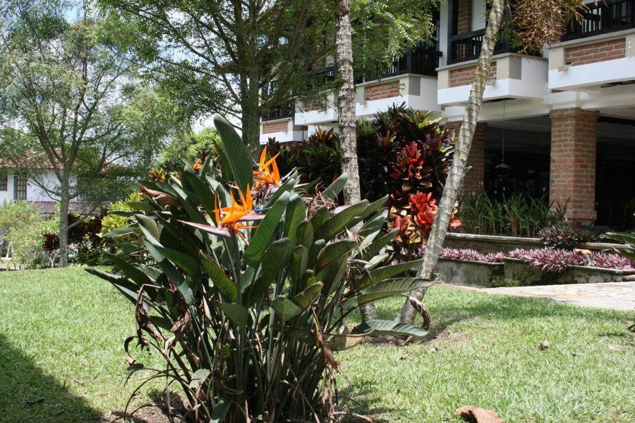 Finca Hotel La Esperanza Montenegro Extérieur photo